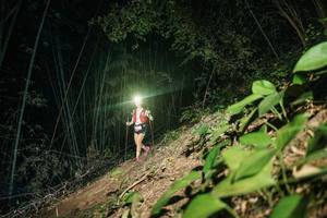 BIB: 
                            <button type="button" onclick="openModal(28155022)" class="btn btn-primary btn-sm float-right btn-popup" data-toggle="modal" data-target=".modal-high-quality">
                        <i class="fas fa-shopping-cart"></i> Add to Cart
                    </button>
                                            <button type="button" onclick="isThisMe(28155022, true)" class="btn btn-success btn-sm float-right btn-popup btn-isme hidden" data-toggle="tooltip" data-placement="bottom" title="นี่คือรูปของคุณใช่ไหม คลิกที่นี่เพื่อเอาเข้าอัลบั้ม">
                        <i class="fas fa-plus"></i> Add to album
                    </button>
                    <button type="button" onclick="isThisMe(28155022, false)" class="btn btn-warning btn-sm float-right btn-popup btn-isnotme hidden">
                        <i class="fas fa-ban"></i> Remove from album
                    </button>